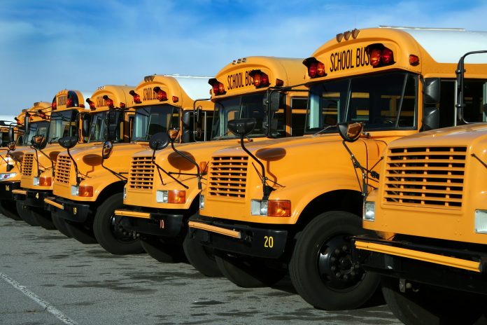 public school buses