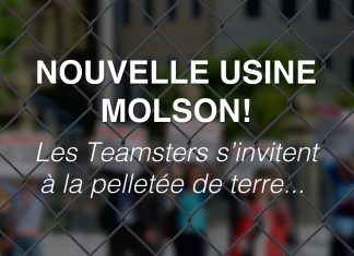 Les Teamsters s’invitent à la pelletée de terre de la nouvelle usine Molson