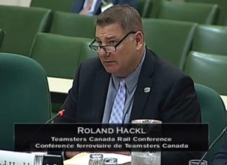 Brother Roland Hackl Appointed Vice-Chair of the CIRB