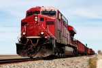 Teamsters Slam Senate Report Calling for Strike Bans in Rail and Port Sectors